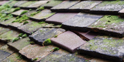Dovercourt roof repair costs